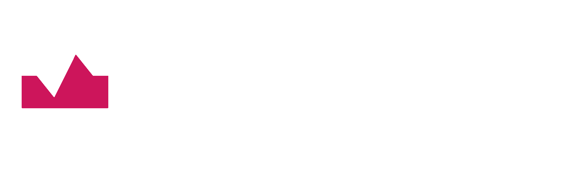 NeverPeak Endurance Specialists